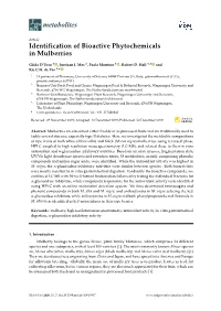 Identification of Bioactive Phytochemicals in Mulberries