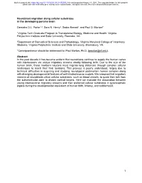 Neuroblast Migration Along Cellular Substrates in the Developing Porcine Brain