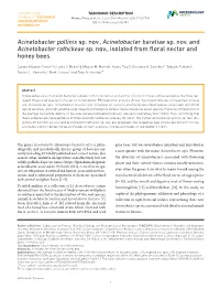 Acinetobacter Pollinis Sp