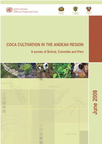 Coca Cultivation in the Andean Region