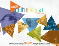 Greater Sudbury Cultural Plan