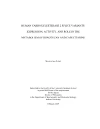 Human Carboxylesterase 2 Splice Variants
