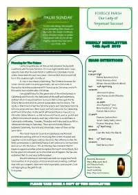 Mass Intentions Weekly Newsletter
