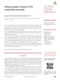 Ultrasonographic Features of the Normal Filum Terminale