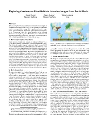 Exploring Carnivorous Plant Habitats Based on Images from Social Media