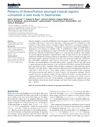 Patterns of Diversification Amongst Tropical Regions
