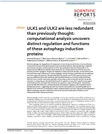 ULK1 and ULK2 Are Less Redundant Than Previously Thought
