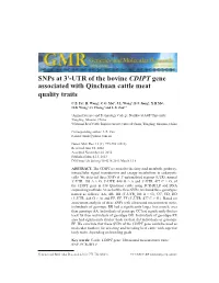 UTR of the Bovine CDIPT Gene Associated with Qinchuan Cattle Meat Quality Traits C.Z