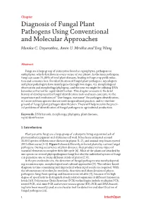 Diagnosis of Fungal Plant Pathogens Using Conventional and Molecular Approaches Monika C
