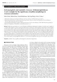 Schismatoglottis and Apoballis (Araceae: Schismatoglottideae): a New Example for the Significance of Pollen Morphology in Araceae Systematics