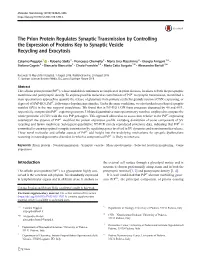 The Prion Protein Regulates Synaptic Transmission by Controlling the Expression of Proteins Key to Synaptic Vesicle Recycling and Exocytosis