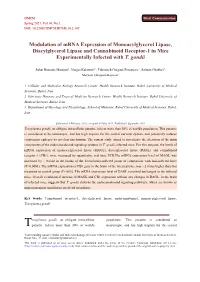Modulation of Mrna Expression of Monoacylglycerol Lipase, Diacylglycerol Lipase and Cannabinoid Receptor-1 in Mice Experimentally Infected with T