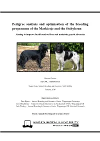 Pedigree Analysis and Optimisation of the Breeding Programme of the Markiesje and the Stabyhoun