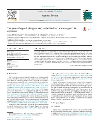 The Genus Ruppia L. (Ruppiaceae) in the Mediterranean Region: an Overview