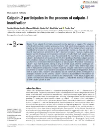 Calpain-2 Participates in the Process of Calpain-1 Inactivation