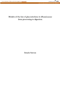 Models of the Fate of Glucosinolates in Brassicaceae from Processing to Digestion