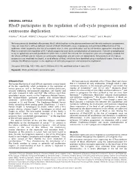 Rhod Participates in the Regulation of Cell-Cycle Progression and Centrosome Duplication
