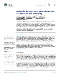 Cell Adhesion and Specificity