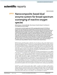 Nanocomposite-Based Dual Enzyme System for Broad-Spectrum