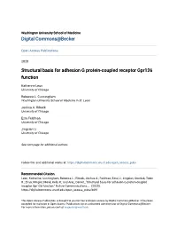 Structural Basis for Adhesion G Protein-Coupled Receptor Gpr126 Function