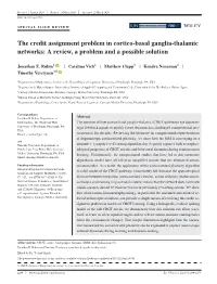 The Credit Assignment Problem in Cortico‐Basal Ganglia‐Thalamic
