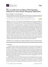 The Crosstalk Between FAK and Wnt Signaling Pathways in Cancer and Its Therapeutic Implication