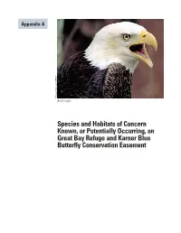 Appendix a Species of Conservation Concern