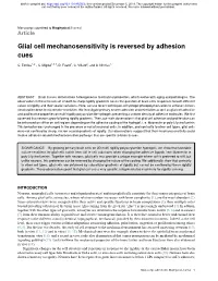 Glial Cell Mechanosensitivity Is Reversed by Adhesion Cues