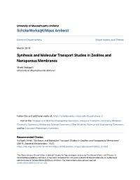 Synthesis and Molecular Transport Studies in Zeolites and Nanoporous Membranes
