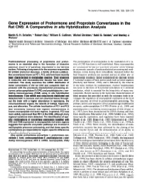 Gene Expression of Prohormone and Proprotein Convertases in the Rat CNS: a Comparative in Situ Hybridization Analysis