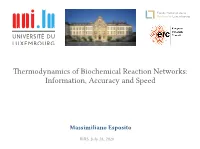 Thermodynamics of Biochemical Reaction Networks: Information, Accuracy and Speed