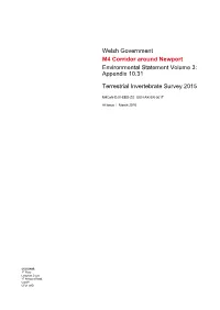 Appendix 10.31 Terrestrial Invertebrate Survey 20