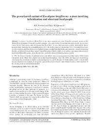The Green-Leaved Variant of Eucalyptus Largiflorens: a Story Involving Hybridization and Observant Local People