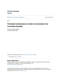 The Reptile Gut Microbiome: Its Role in Host Evolution and Community Assembly