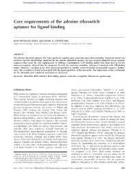 Core Requirements of the Adenine Riboswitch Aptamer for Ligand Binding