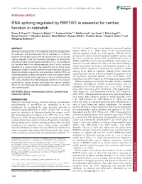RNA Splicing Regulated by RBFOX1 Is Essential for Cardiac Function in Zebrafish Karen S