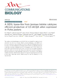 A GDSL Lipase-Like from Ipomoea Batatas Catalyzes Efficient