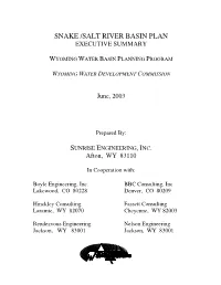 Snake /Salt River Basin Plan Executive Summary
