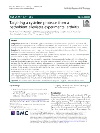 Targeting a Cysteine Protease from a Pathobiont Alleviates Experimental