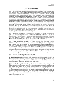 Executive Summary