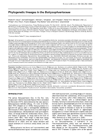 Phylogenetic Lineages in the Botryosphaeriaceae