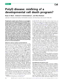 Polyq Disease: Misfiring of a Developmental Cell Death Program?