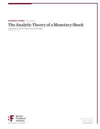 The Analytic Theory of a Monetary Shock Fernando E