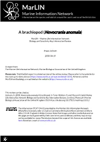Download PDF Version