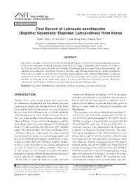 First Record of Laticauda Semifasciata (Reptilia: Squamata: Elapidae: Laticaudinae) from Korea
