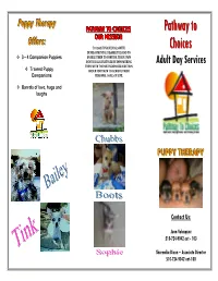 Pathwayto Choices