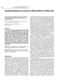 Acylphosphatase Is Involved in Differentiation of K562 Cells