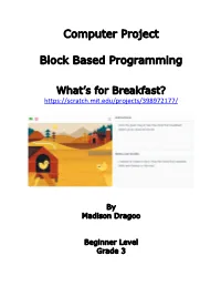 Computer Project Block Based Programming