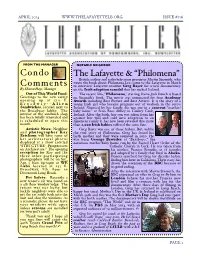 Condo Comments the Lafayette & “Philomena”