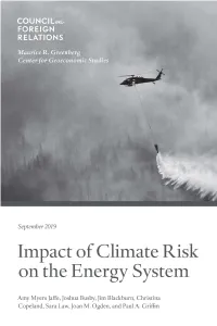 Impact of Climate Risk on the Energy System Examining the Financial, Security, and Technology Dimensions